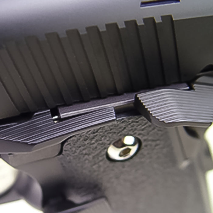Hi-CAPA5.1 Spring Plunger Set