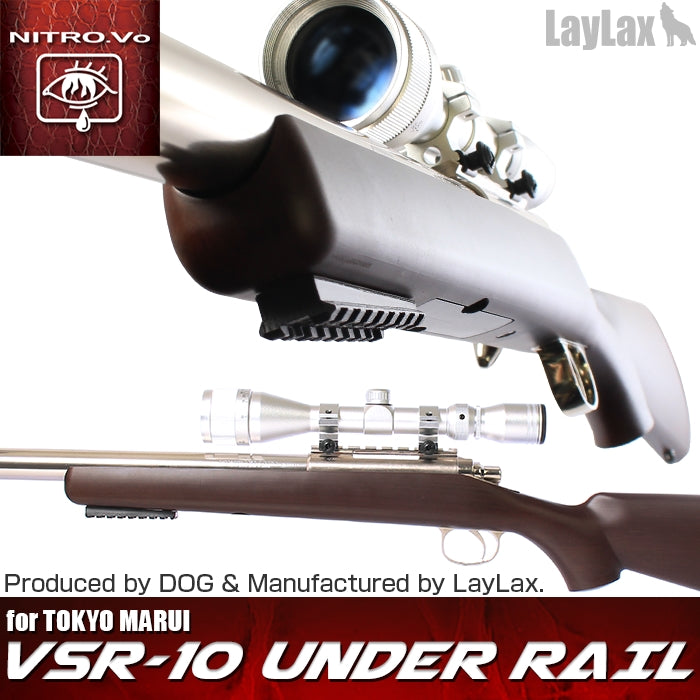 VSR-10 Under Rail