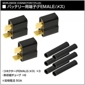 WORLDWIDE T-PLUG・WORLDWIDE T-PLUG MINI(FEMALE/MALE)[PROMETHEUS/プロメテウス]
